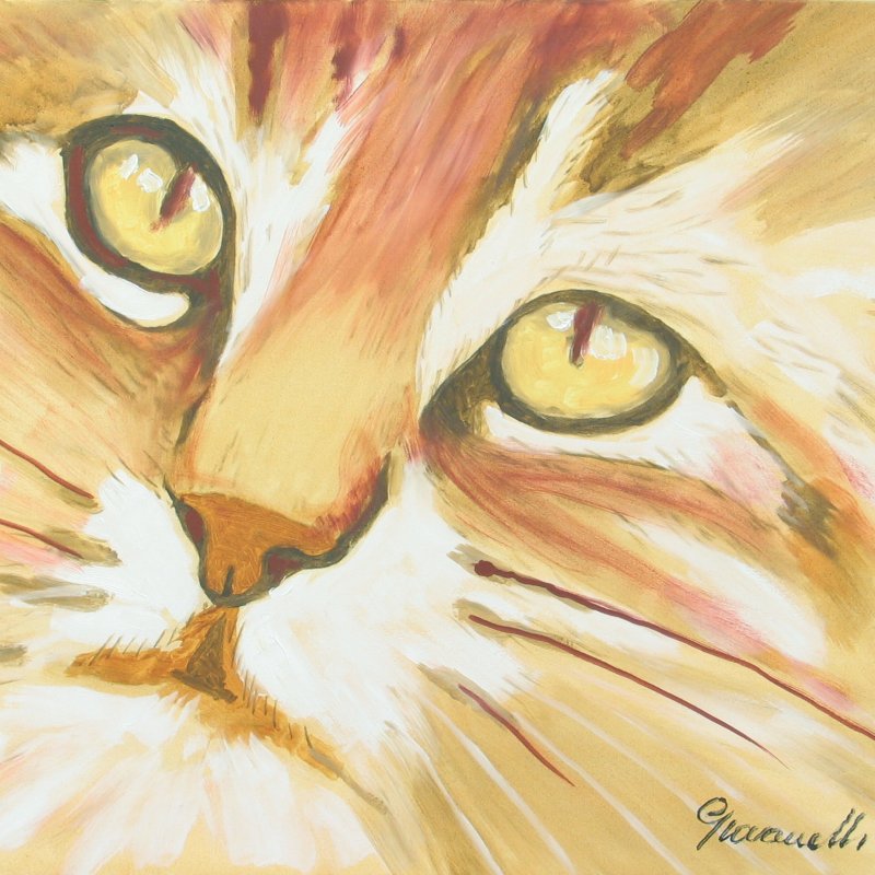 Gallery Item 1